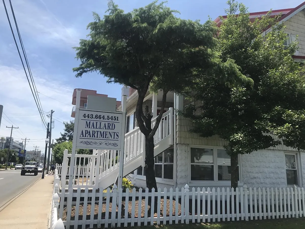 Mallard Apartments Ocean City