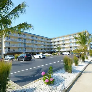 Coastal Palms And Ocean City