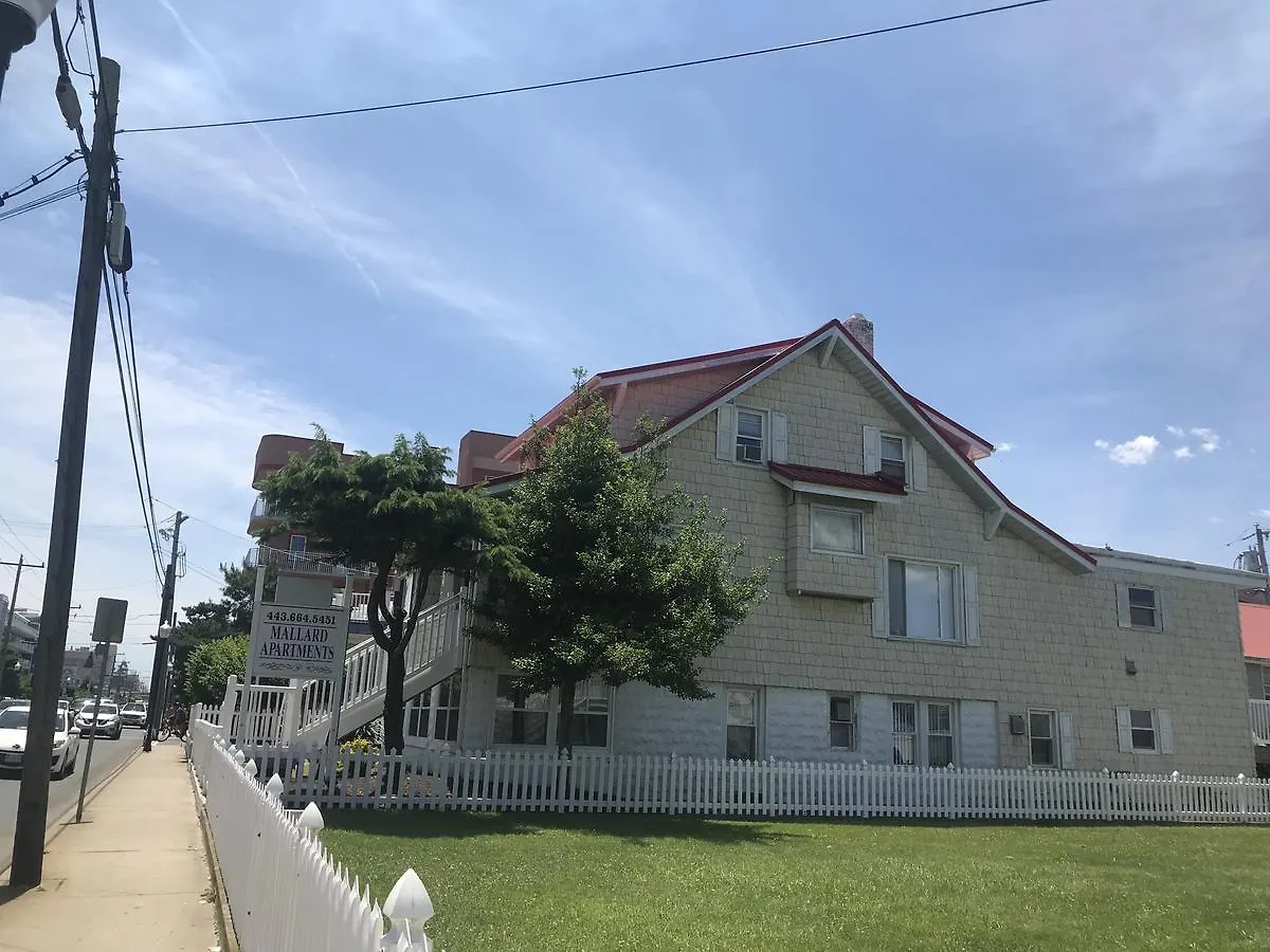 Mallard Apartments Ocean City